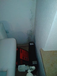 Schimmelbefall Wohnung Bild 3